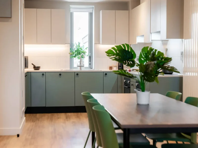 communal areas_shared-kithcen_The P&V_ (1)-1500x1000