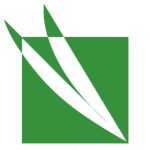 mark dublinnest-logo(1)